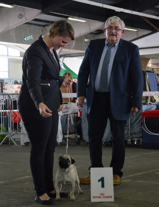 Des Bouilles De Clown - Exposition Internationale de Marmande 2014