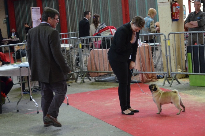 Des Bouilles De Clown - Expositions Internationale de Limoges 2014