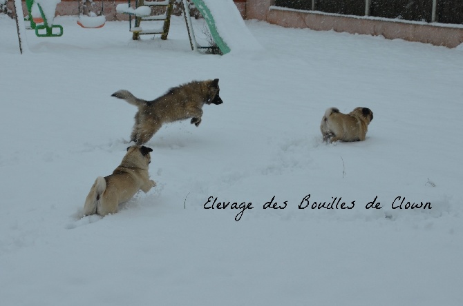 Des Bouilles De Clown - De la Neige a Toulouse