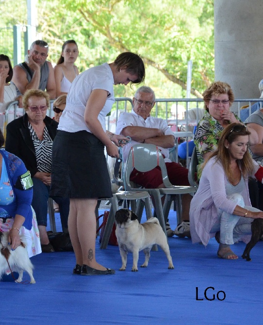 Des Bouilles De Clown - Exposition de L'union 2014