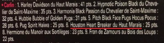 Des Bouilles De Clown - Houston Heartbreaker du Haut Marais 6 eme au TOP Carlin 