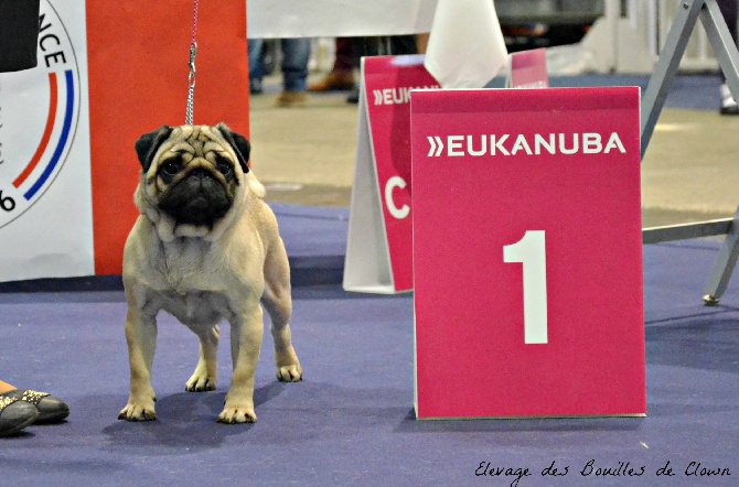 Des Bouilles De Clown - Championnat de France 2016