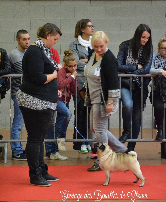 Des Bouilles De Clown - Nationale de Castres 2015 