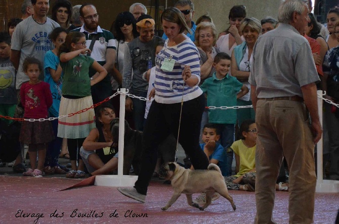 Des Bouilles De Clown - Exposition Nationale de Villeneuve sur Lot