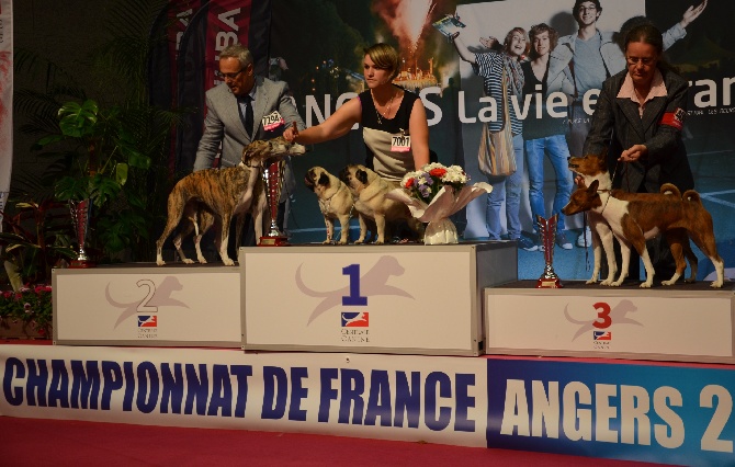 Des Bouilles De Clown - Championnat de France 2014 !!! Que d'émotion !