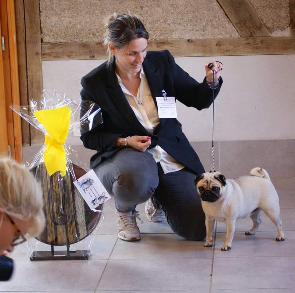 Des Bouilles De Clown - Queen Best in show de la Régionale d'élevage de Montoulieu 2020