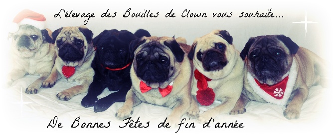 Des Bouilles De Clown - Bonnes Fêtes